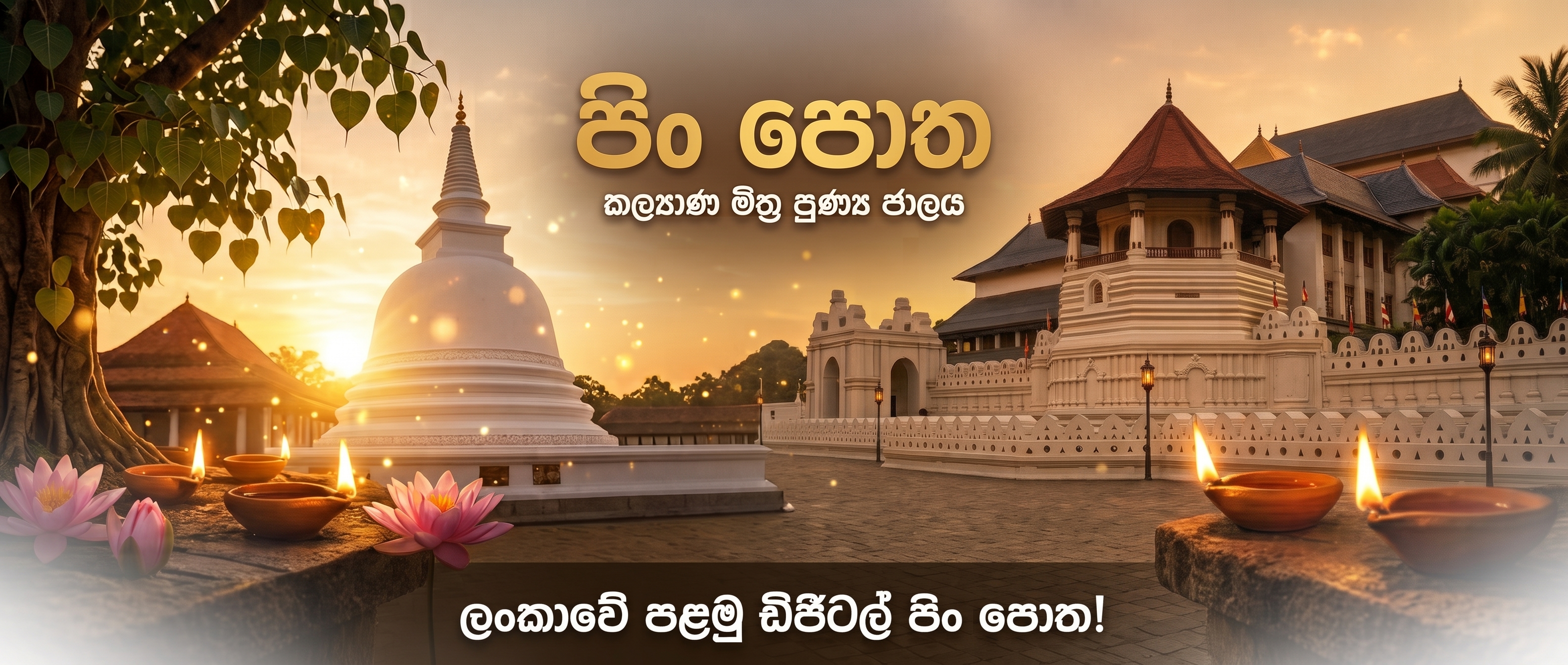 Cover Photo